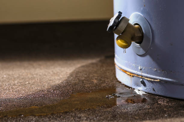 Best Basement water damage restoration  in New Cumberland, PA