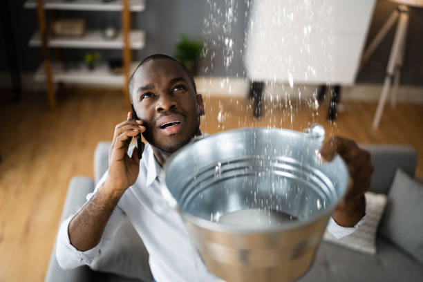 Best Local water damage restoration  in New Cumberland, PA