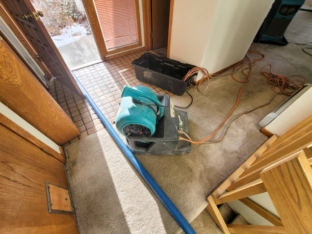 Best Mold removal after water damage  in New Cumberland, PA
