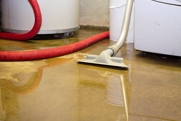 Best Water damage contractors near me  in New Cumberland, PA