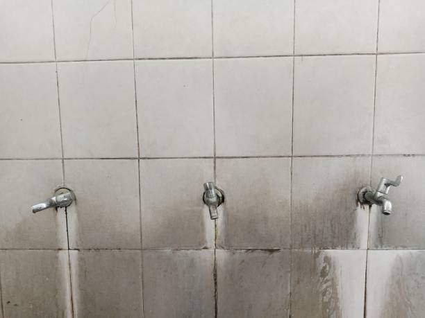 Best Commercial water damage restoration  in New Cumberland, PA