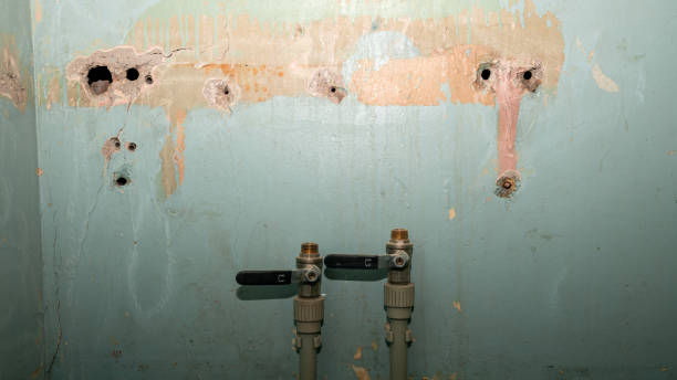 Best Basement water damage restoration  in New Cumberland, PA