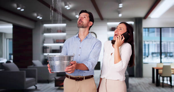 Best Water damage restoration near me  in New Cumberland, PA